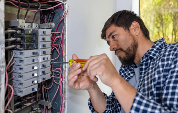 Best Electric Panel Repair  in Guthrie, KY